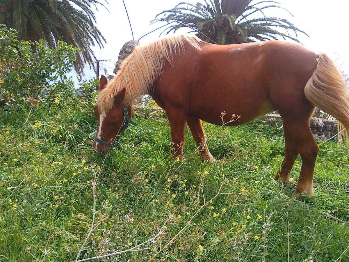Azienda Agrituristica Le Terre Di San Leonardo Cetraro Zewnętrze zdjęcie